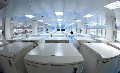 我国将制定脐带血干细胞移植规范方案，推动技术开发与应用